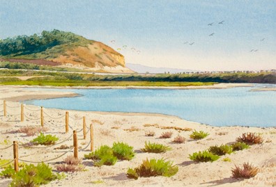 Hang Gliders and Birds at Torrey Pines 